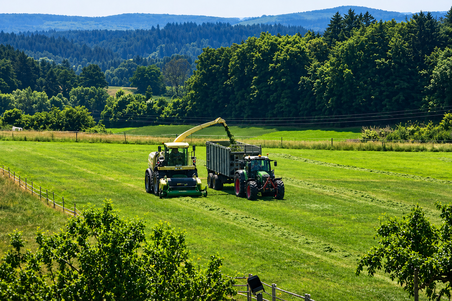 Agro Industry